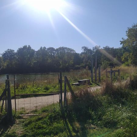 Gite La Pironniere - Piscine, Nature, Au Bord De La Riviere Montreuil-sur-Maine Exterior foto