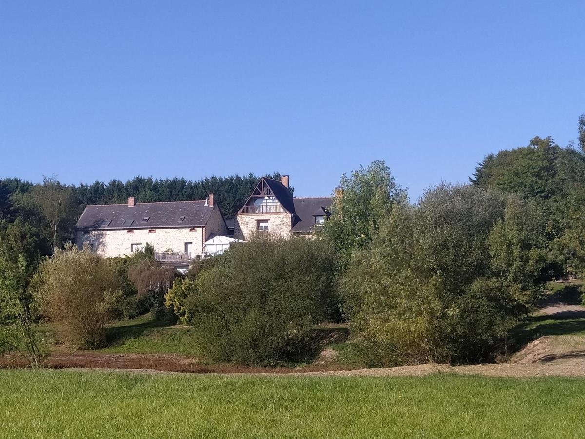 Gite La Pironniere - Piscine, Nature, Au Bord De La Riviere Montreuil-sur-Maine Exterior foto